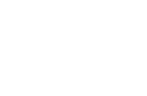 G20
